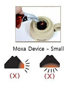 Turtle Moxa Device - Small - Image 2
