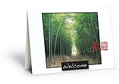 Welcome Bamboo Greeting Card