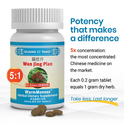 Wen Jing Pian, Tablets - Image 4