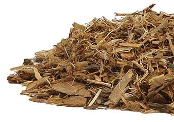 Willow Bark, Organic (Salix alba)