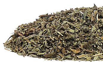 Wood Betony (Stachys officinalis) Certified Organic