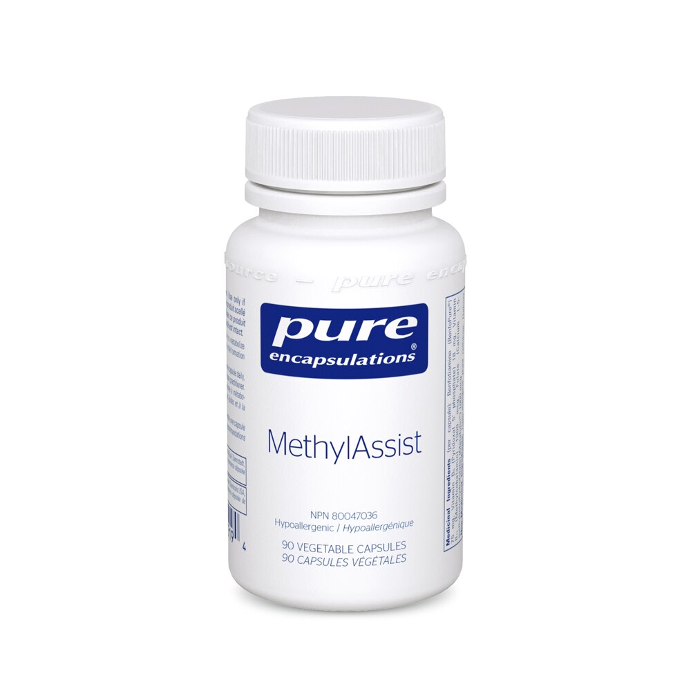 MethylAssist